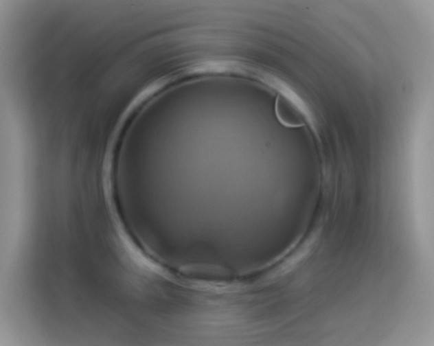 X0000114101045200910051441