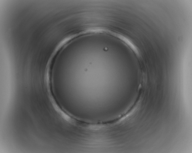 X0000114101046200910051441