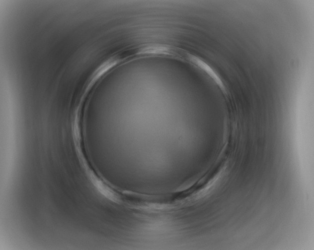 X0000114101050200910051441