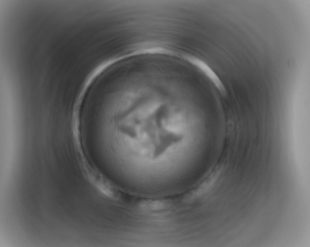 X0000114101051200910051441