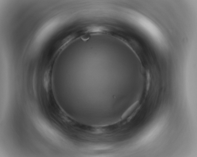 X0000114101052200910051441