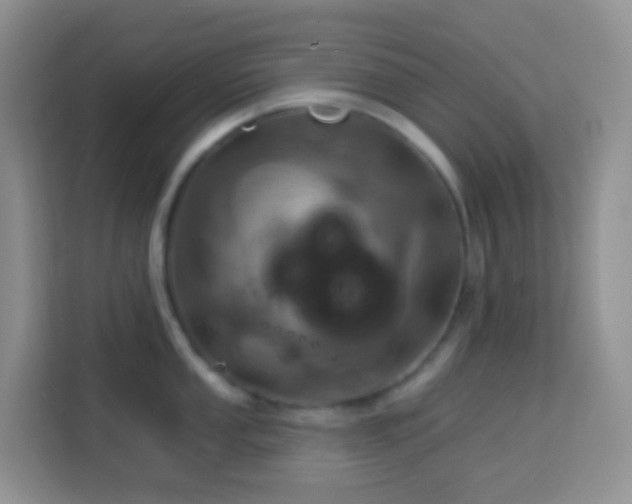 X0000114101053200910051441