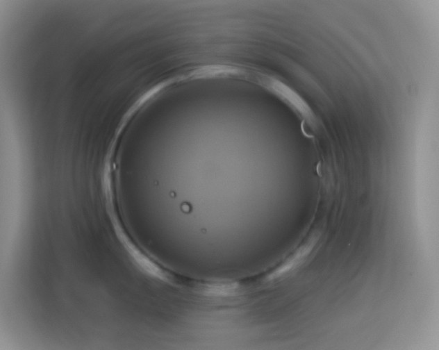 X0000114101055200910051441