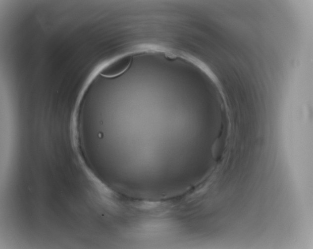 X0000114101056200910051441