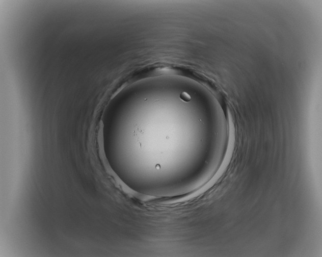 X0000114101057200910051441