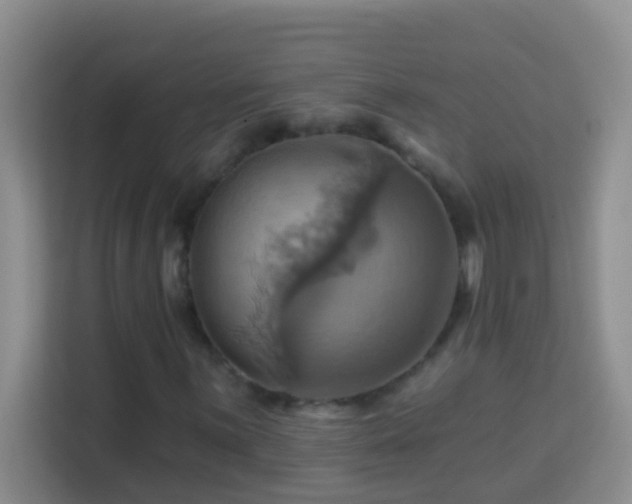 X0000114101059200910051440