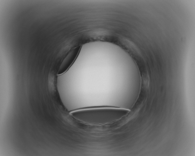 X0000114101060200910051440