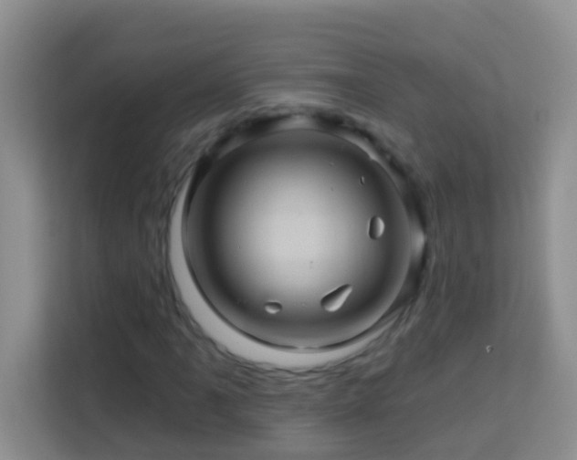 X0000114101061200910051440