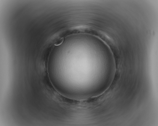 X0000114101062200910051440