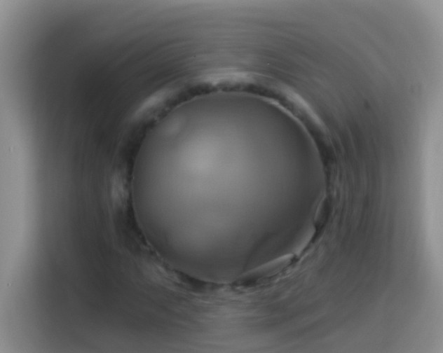 X0000114101063200910051440