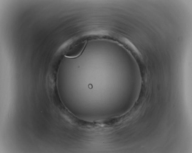 X0000114101064200910051440