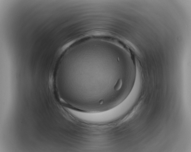 X0000114101065200910051440