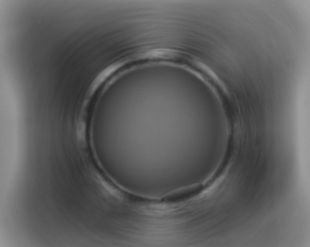 X0000114101066200910051440