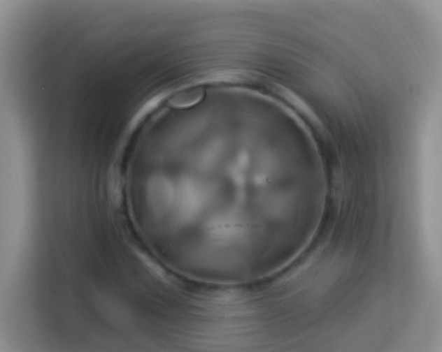 X0000114101067200910051440