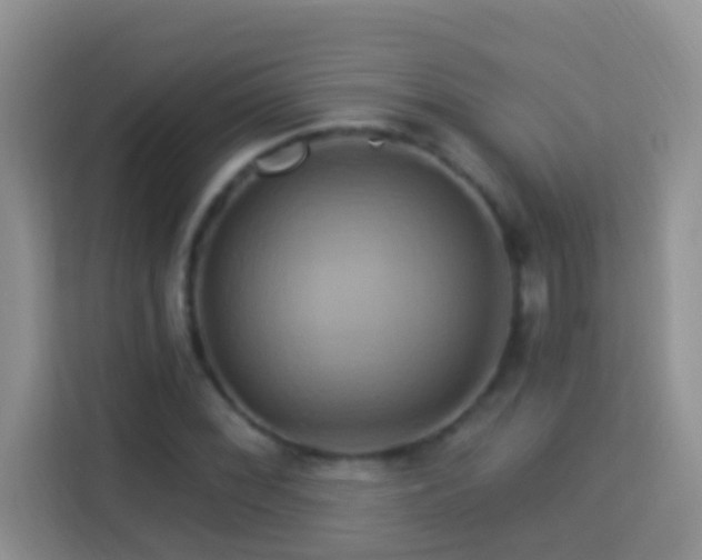 X0000114101068200910051440