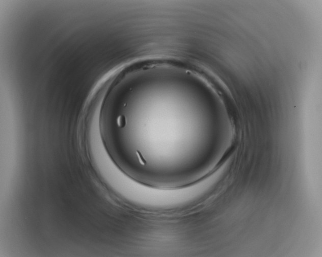 X0000114101069200910051440