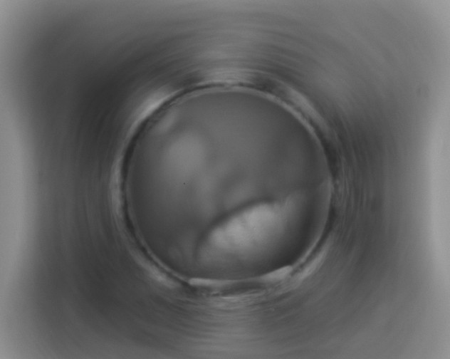 X0000114101071200910051440