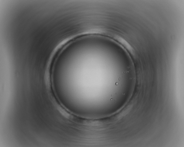 X0000114101072200910051440