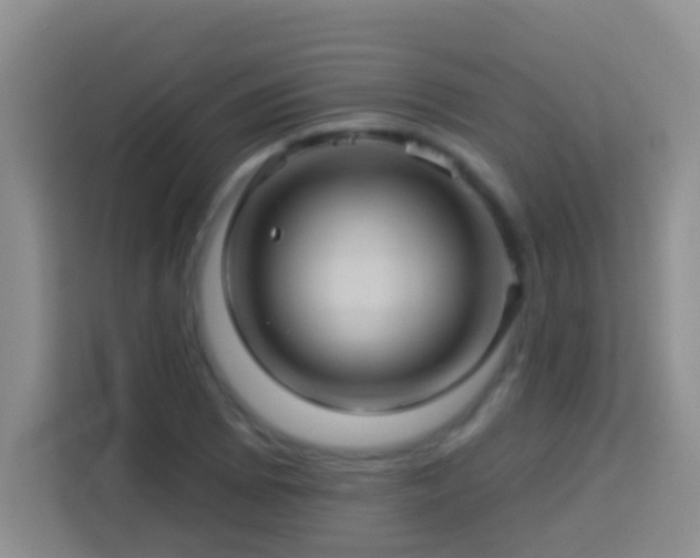 X0000114101073200910051440