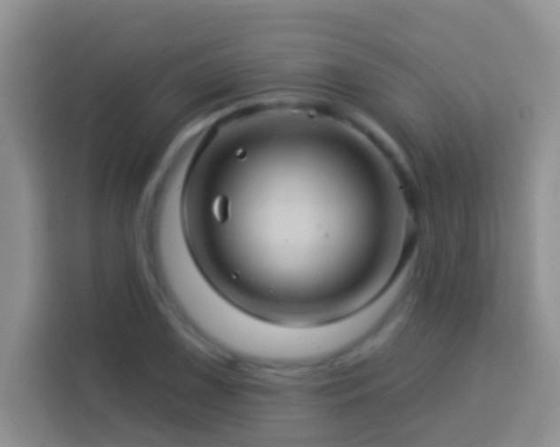 X0000114101075200910051440