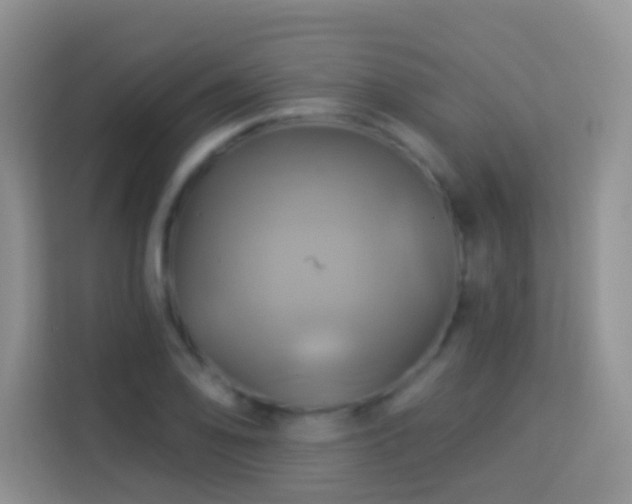 X0000114101078200910051440