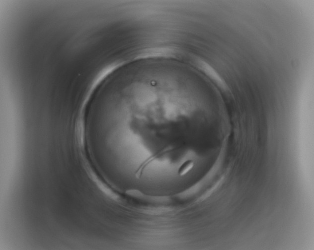 X0000114101079200910051440