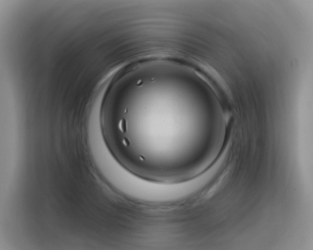 X0000114101081200910051440