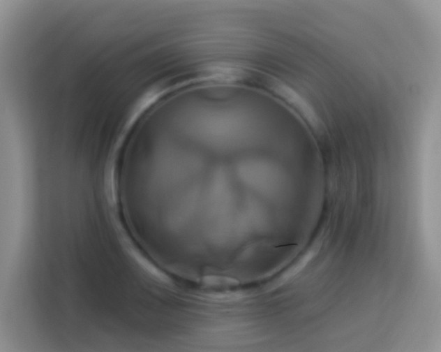 X0000114101083200910051440