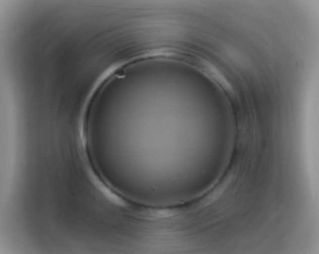 X0000114101084200910051440