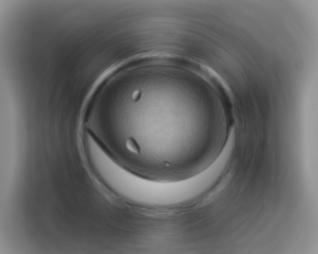 X0000114101085200910051440