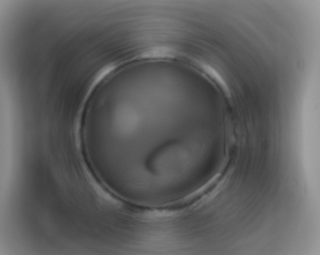 X0000114101087200910051440