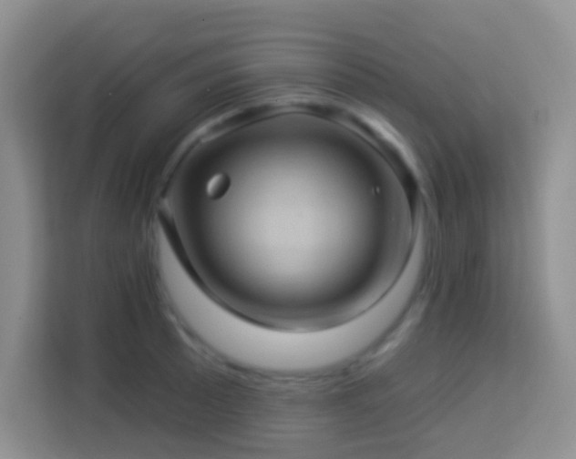 X0000114101089200910051440