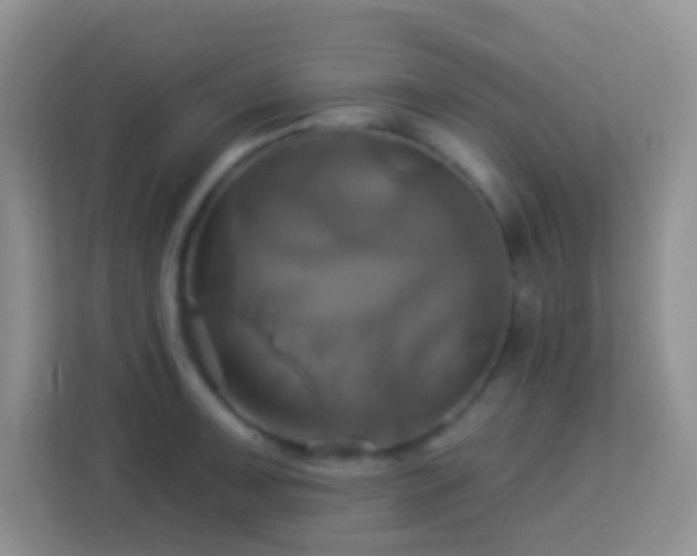 X0000114101091200910051440