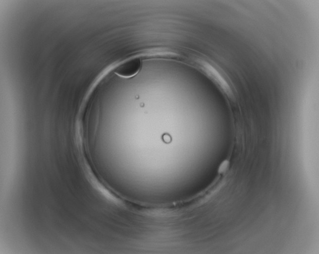 X0000114101092200910051440