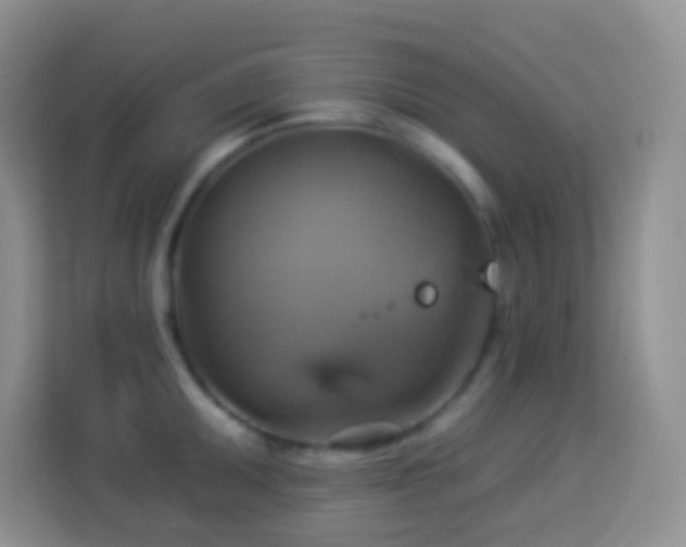 X0000114101095200910051440