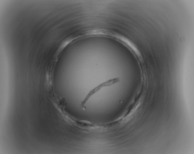 X0000114101097200910051440