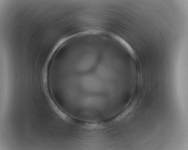 X0000114101099200910051440