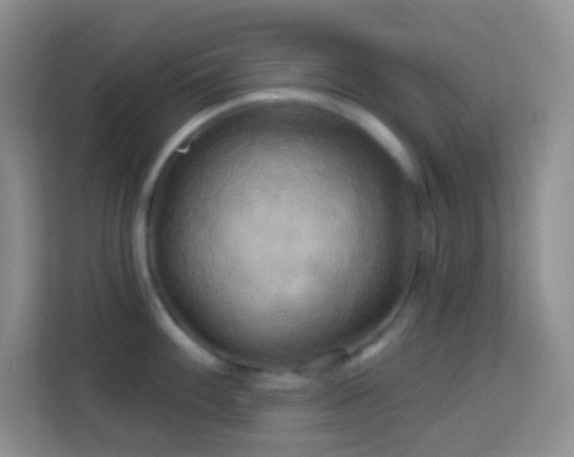 X0000114101100200910051440