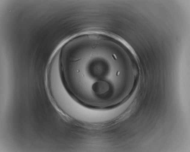 X0000114101101200910051440