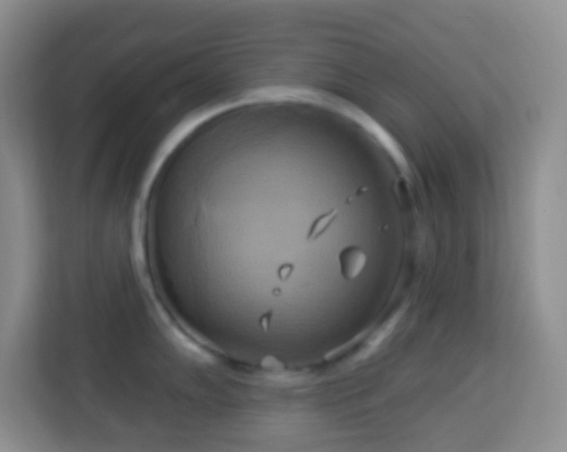 X0000114101102200910051440