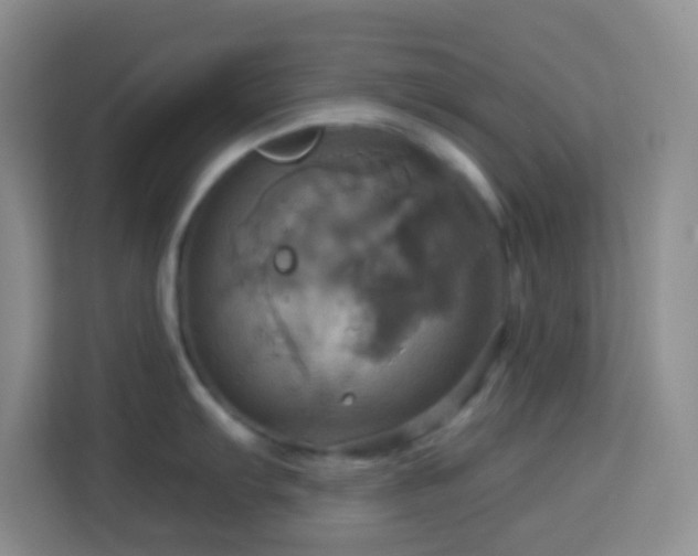 X0000114101103200910051440