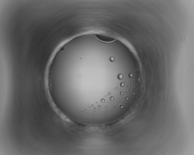 X0000114101104200910051440