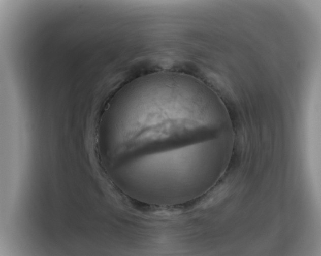 X0000114101105200910051439