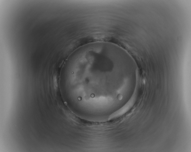 X0000114101106200910051439