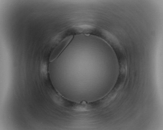 X0000114101108200910051439