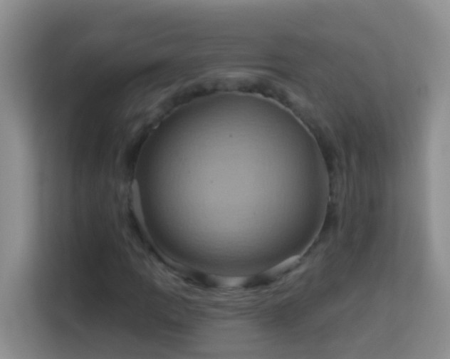 X0000114101109200910051439