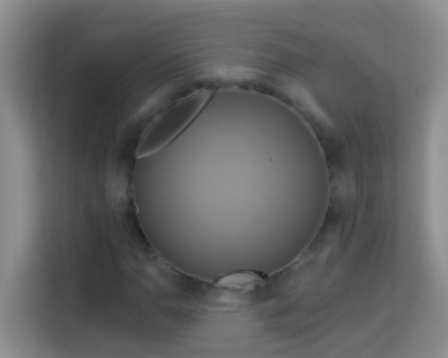 X0000114101110200910051439