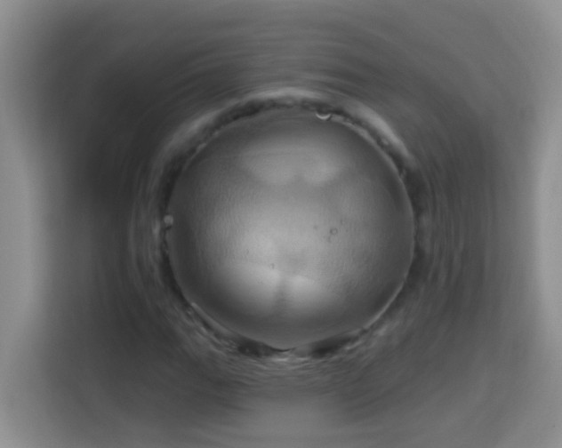 X0000114101111200910051439