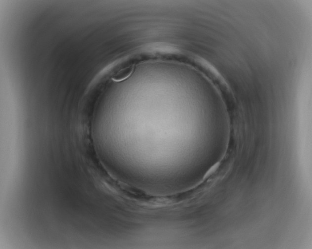 X0000114101112200910051439