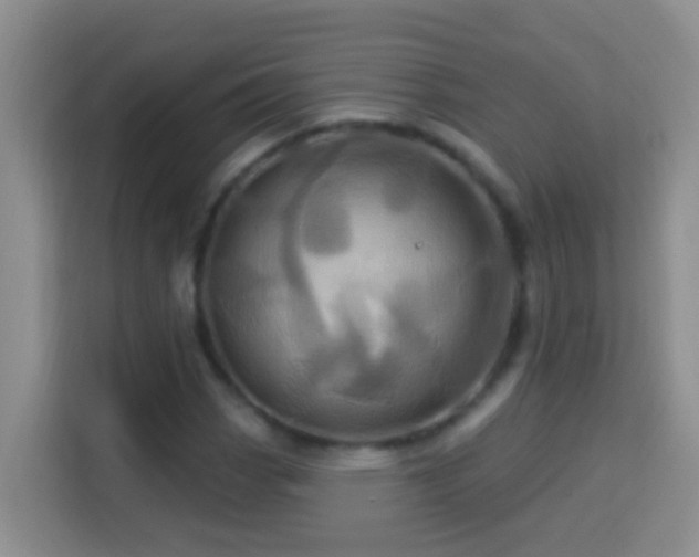 X0000114101113200910051439